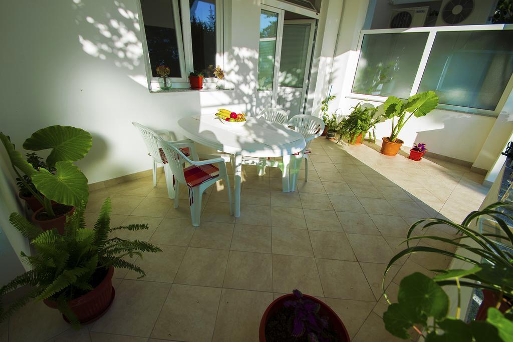 Apartmani I Sobe Grga Starigrad Paklenica Exterior photo